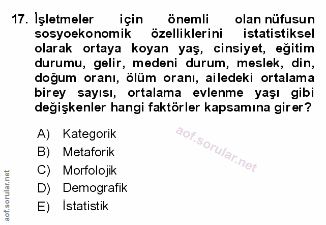 Soru 17