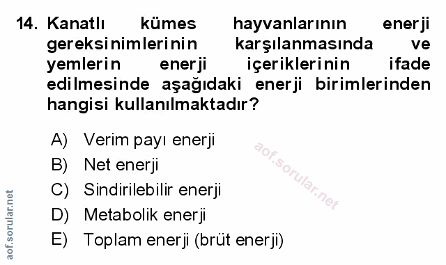 Soru 14
