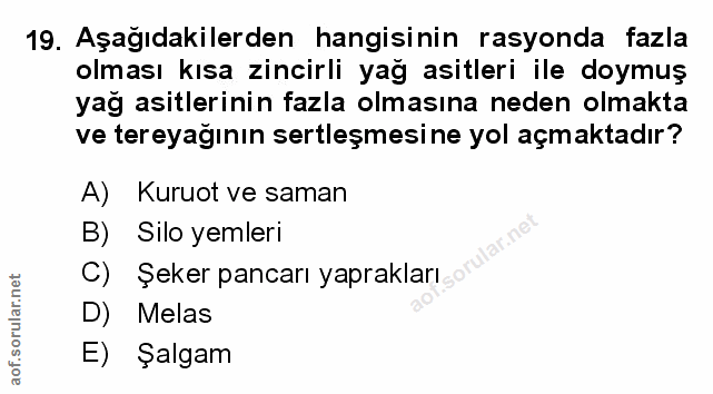 Soru 19