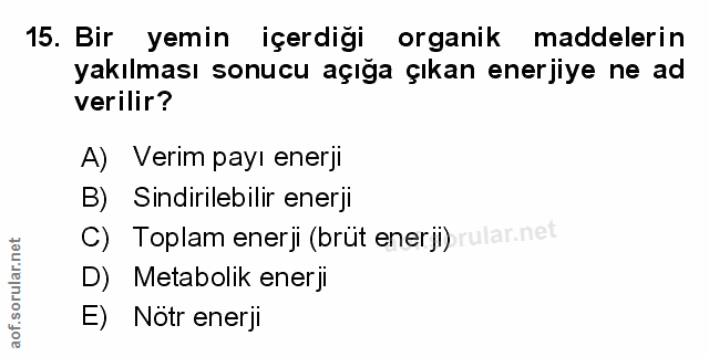 Soru 15