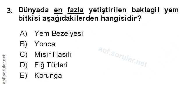 Soru 3