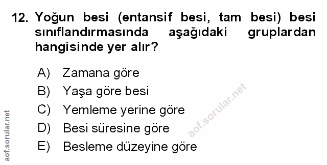 Soru 12