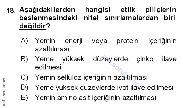 Soru 18