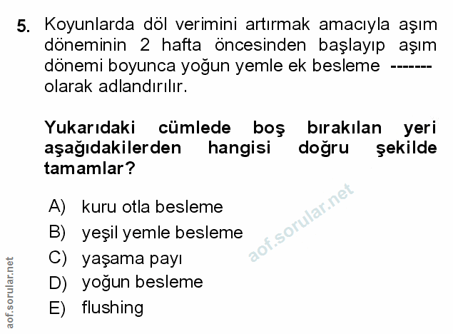 Soru 5