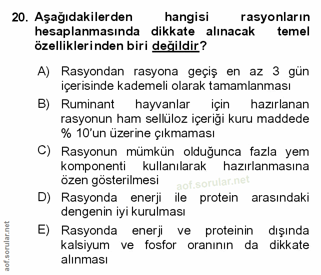 Soru 20