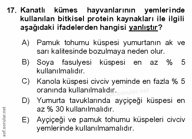 Soru 17
