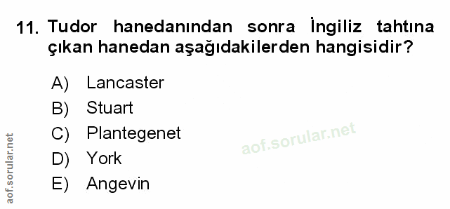 Soru 11