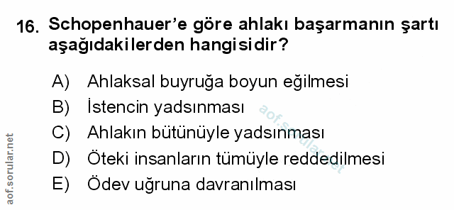 Soru 16