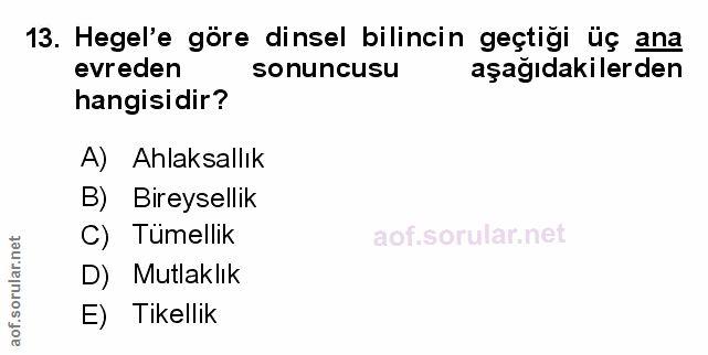 Soru 13