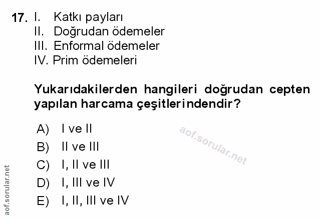 Soru 17