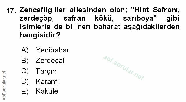 Soru 17