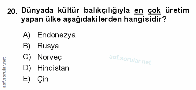 Soru 20