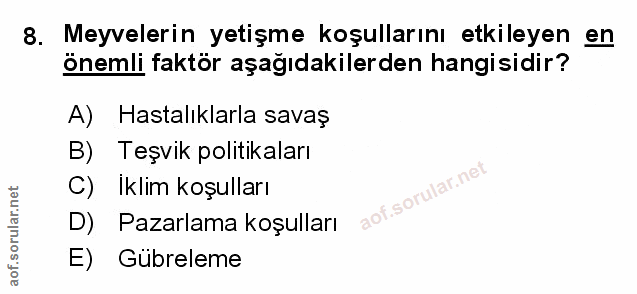 Soru 8