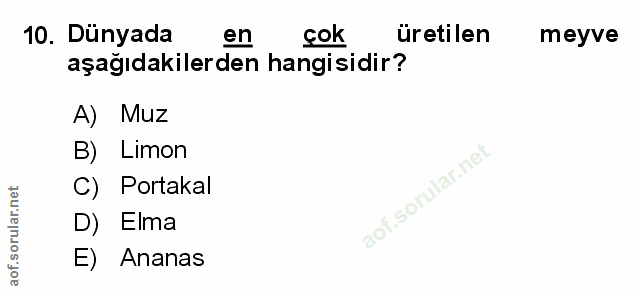 Soru 10