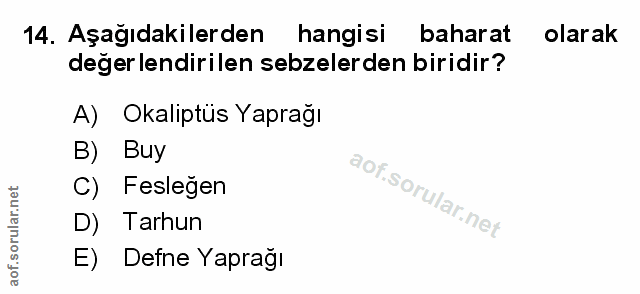 Soru 14