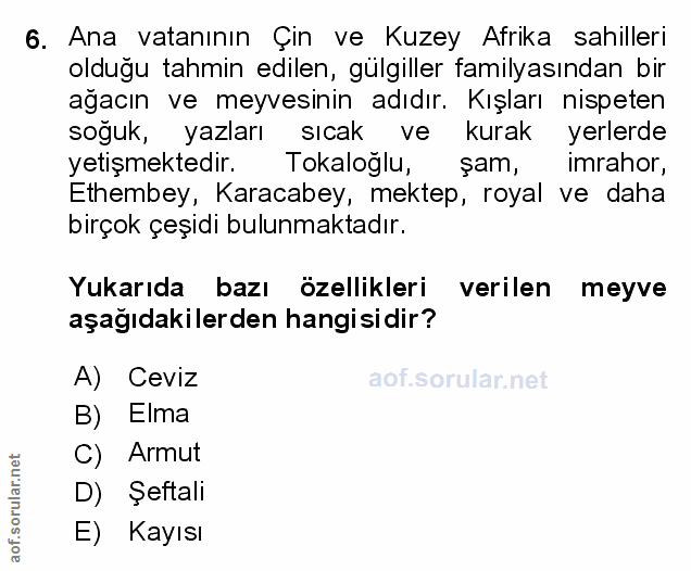 Soru 6