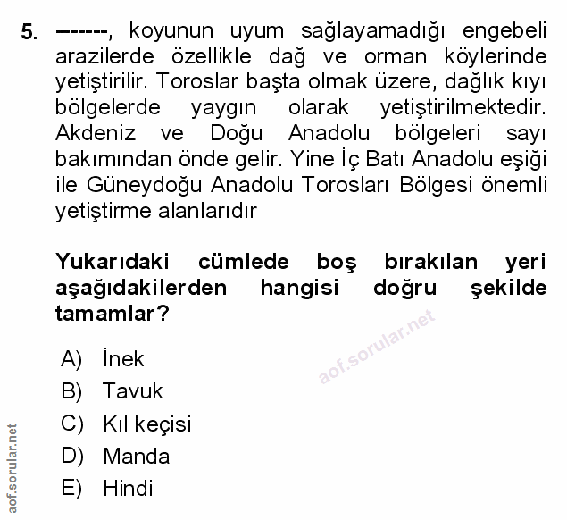 Soru 5