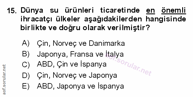 Soru 15