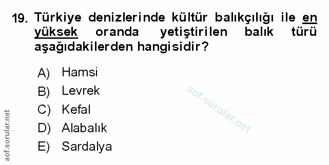 Soru 19