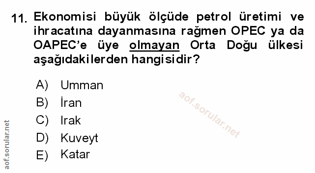 Soru 11