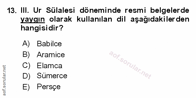 Soru 13