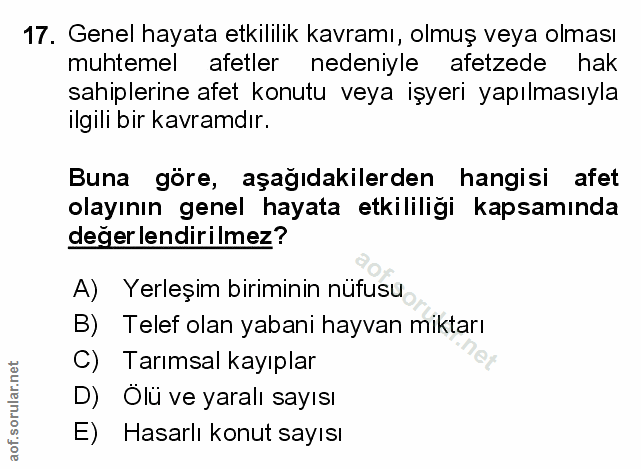 Soru 17