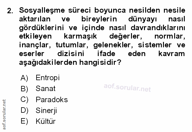 Soru 2