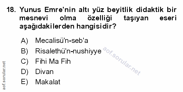 Soru 18