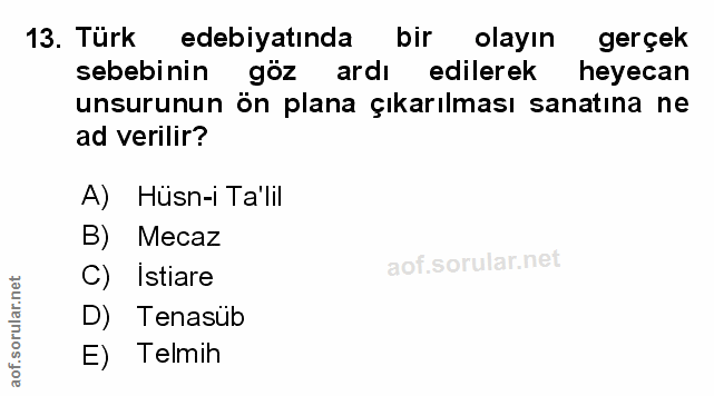 Soru 13