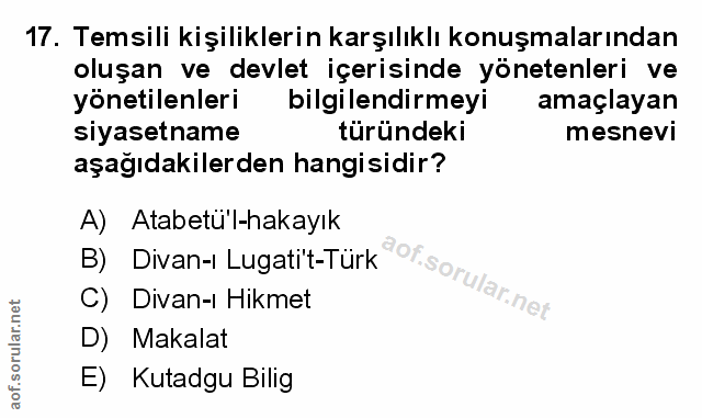 Soru 17