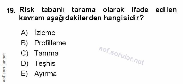 Soru 19