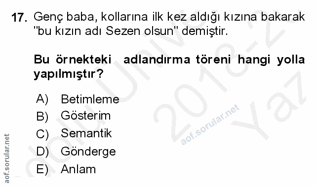 Soru 17
