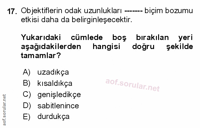 Soru 17