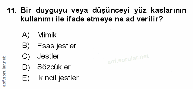 Soru 11