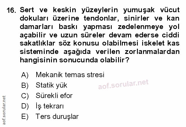 Soru 16