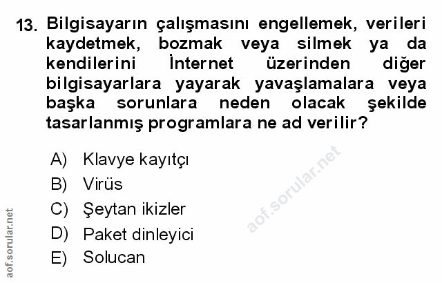 Soru 13