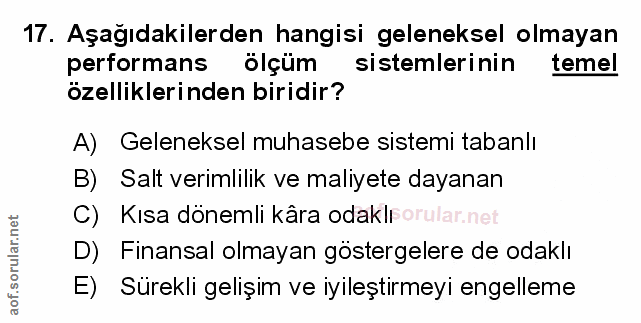 Soru 17