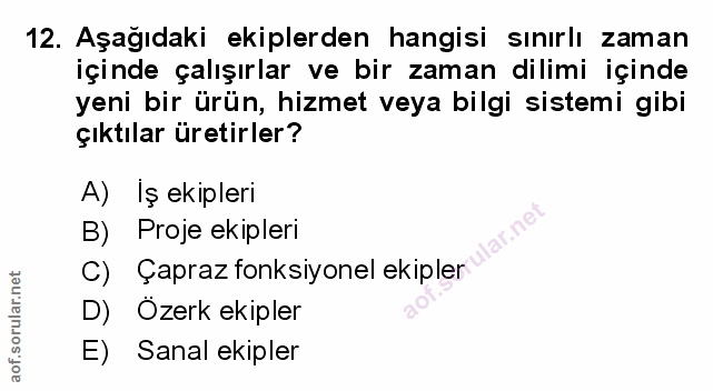 Soru 12