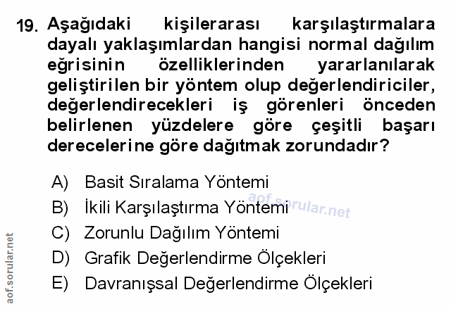 Soru 19