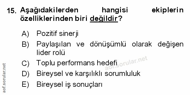 Soru 15