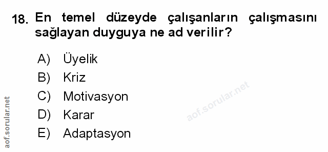 Soru 18