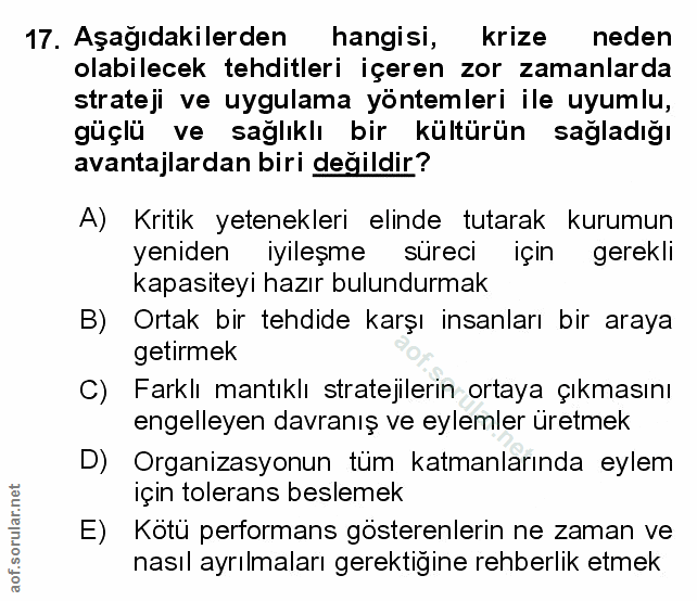 Soru 17