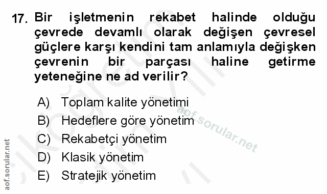 Soru 17