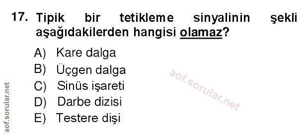 Soru 17