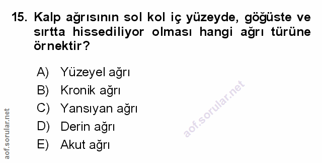 Soru 15