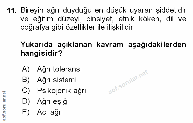 Soru 11