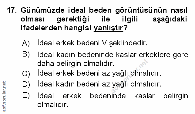 Soru 17