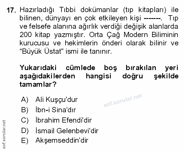 Soru 17