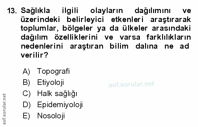 Soru 13
