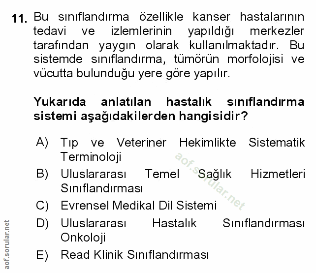 Soru 11
